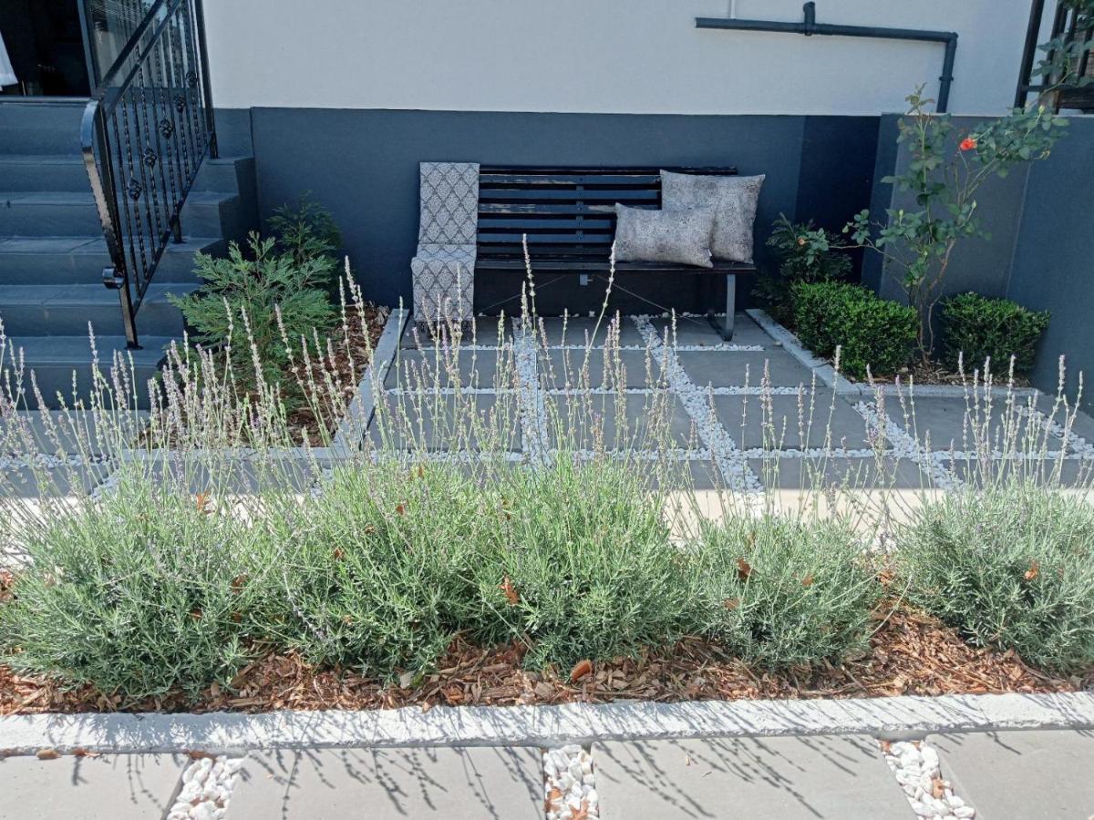 Magnolia Guesthouse 알버톤 외부 사진